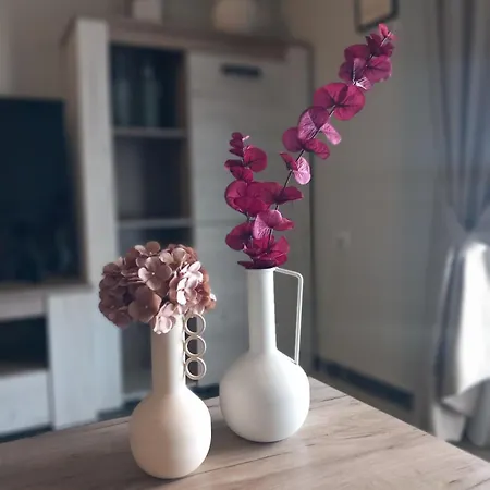 Elmar House Apartman Parálion Ástros