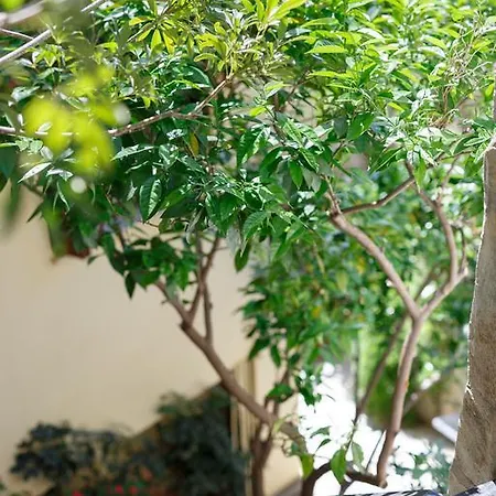 アパート Elmar House Parálion Ástros