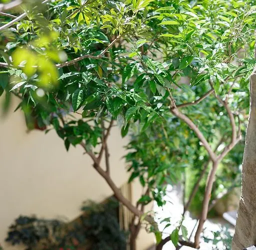 דירה Elmar House Parálion Ástros